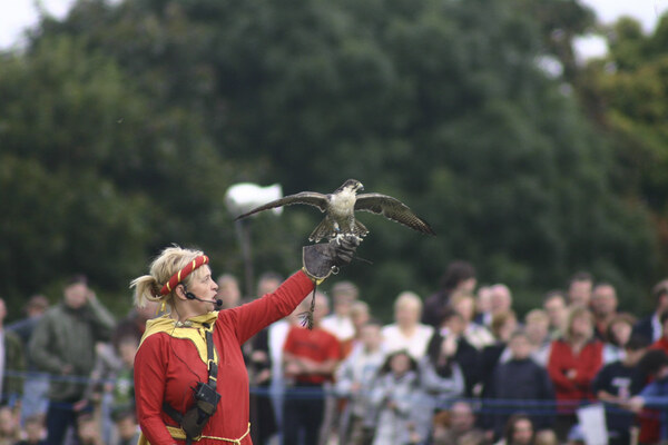 photographybyduncanholmes_6180838063_Bannockburn 2005 2005 (15 of 61).jpg